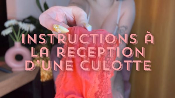 Instructions à la réception d'une culotte 🩲
